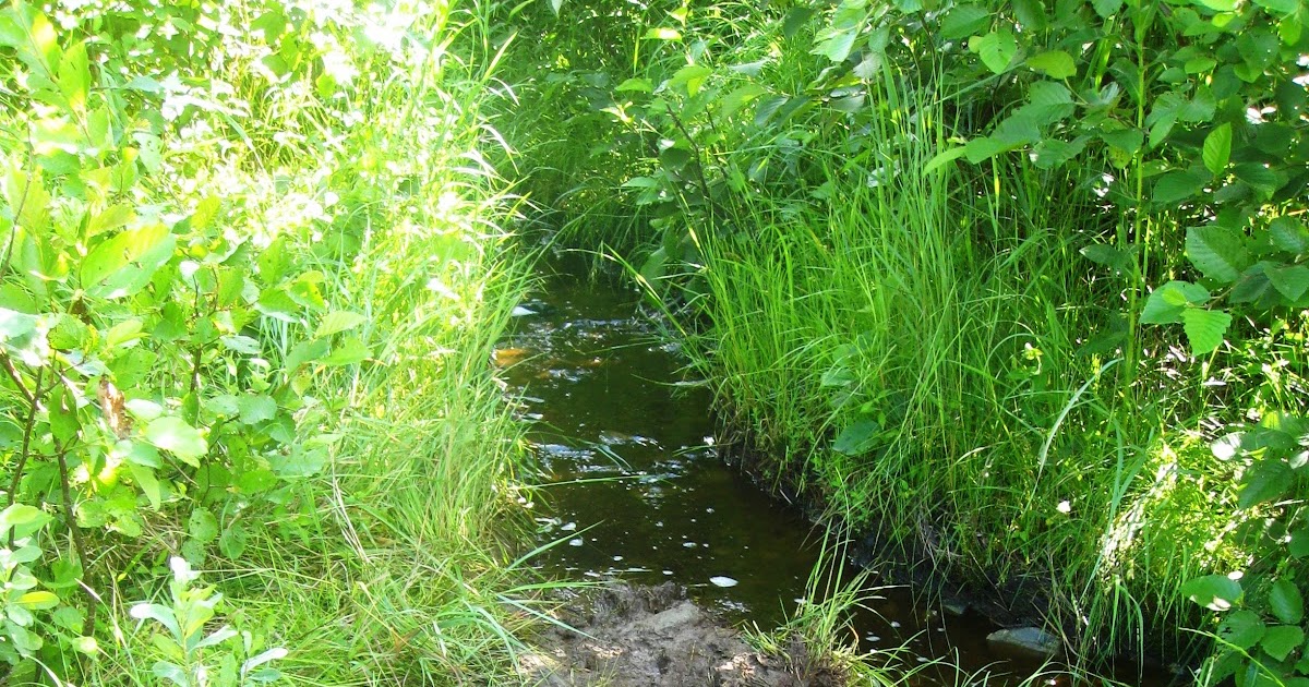 Mark and Pat's Adventures Mud Pond Carry, then Mud Pond