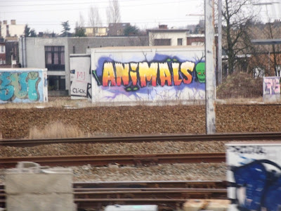 antwerpen berchem animals