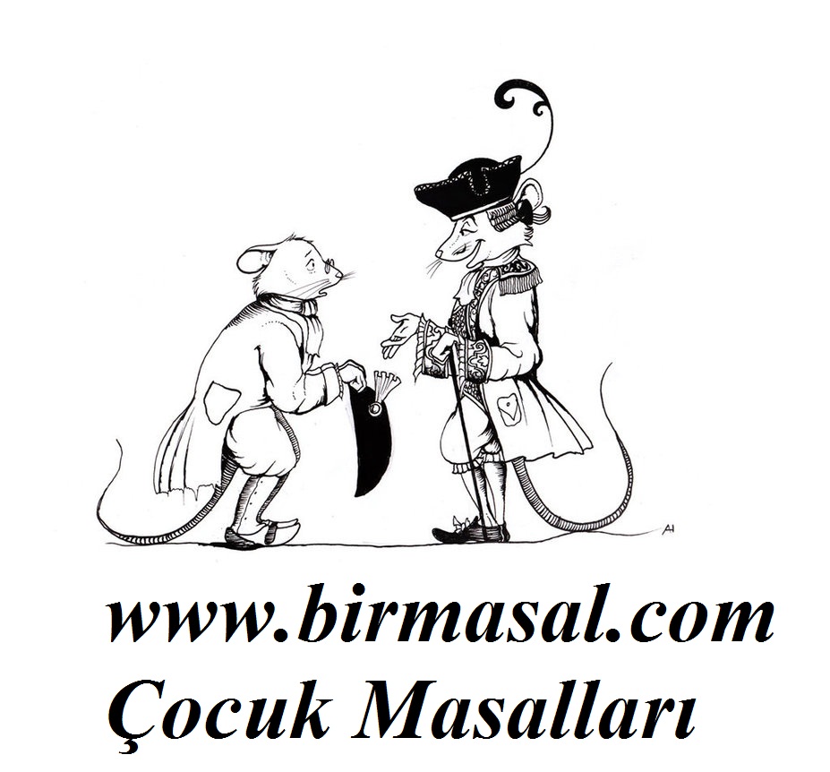 sehir ile koy faresinin masali bir masal