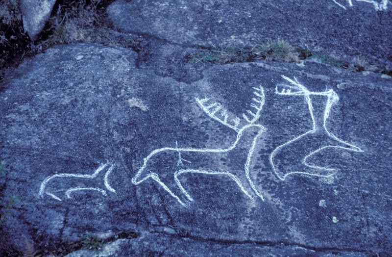 Iberos y celtas Petroglifos