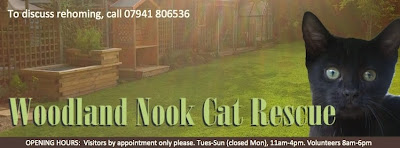 Woodland Nook Cat Rescue