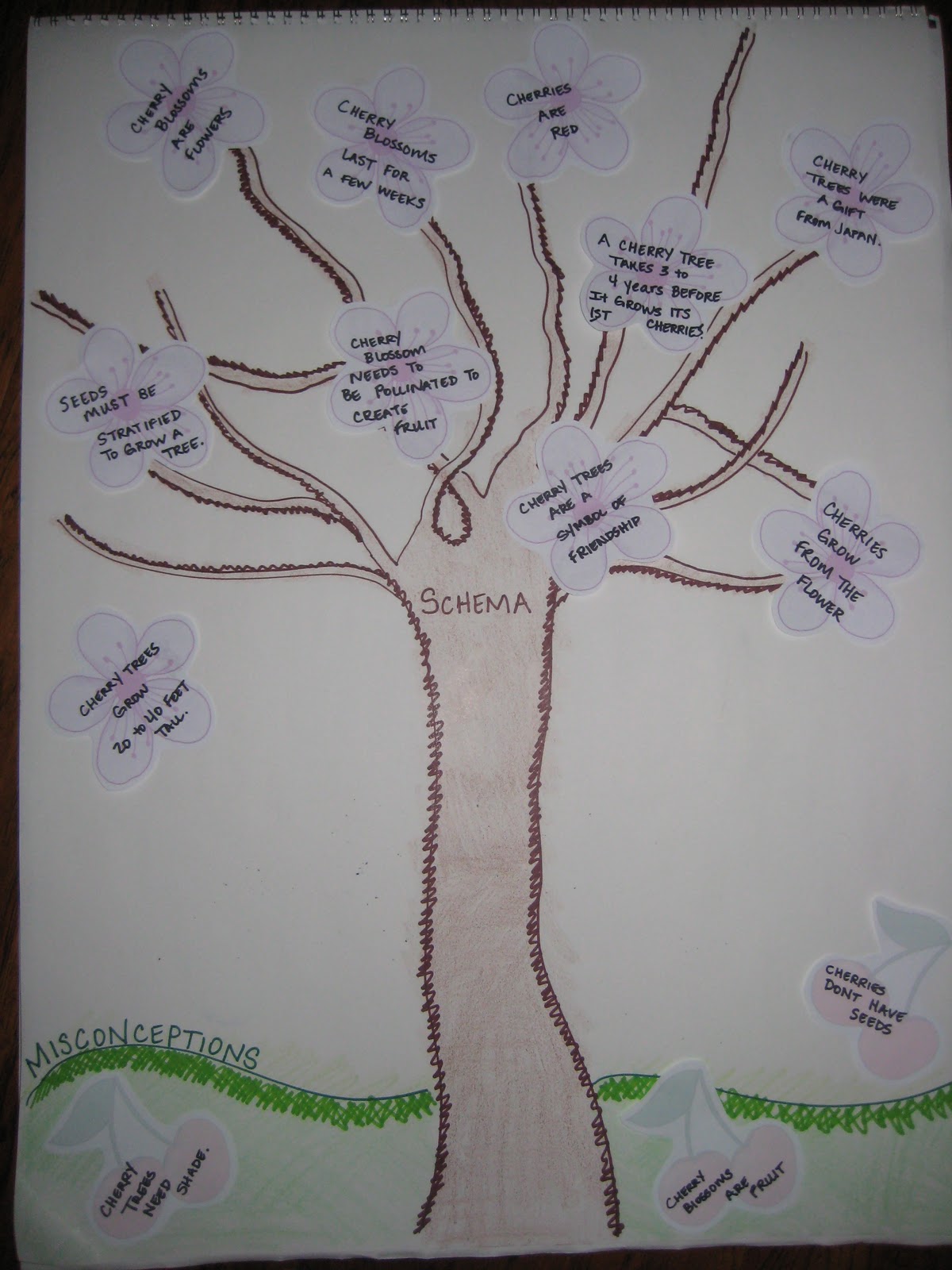 primary graffiti cherry blossom friends frayer model flashcards