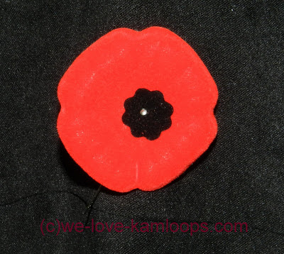 The poppy grows in Flanders Fields and used to remember the soldiers who died in war.