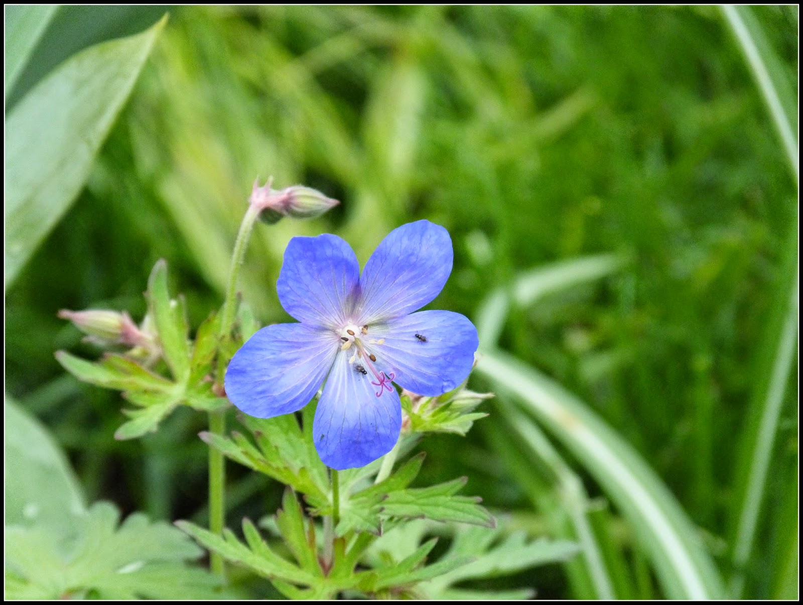 Shop Page 3 Of 10 Perfect For Plants