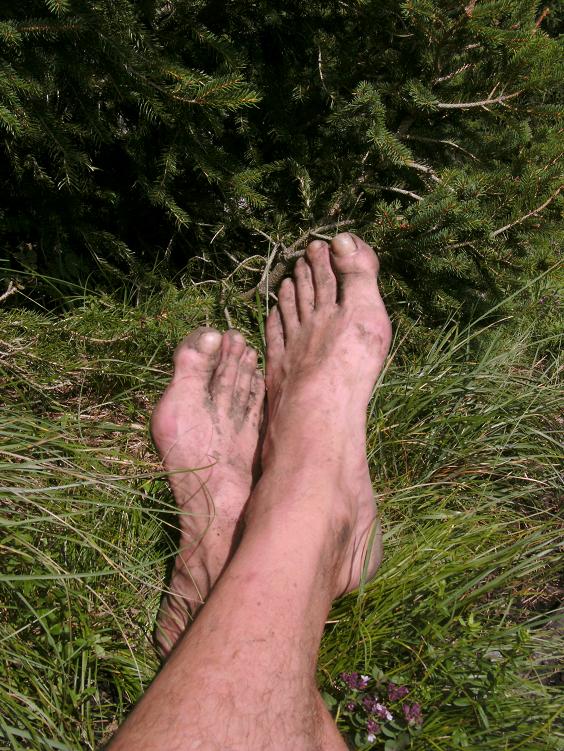 Bergheimat Durch Die Steilflanke Des Wasserstein Zum Schindlerskopf