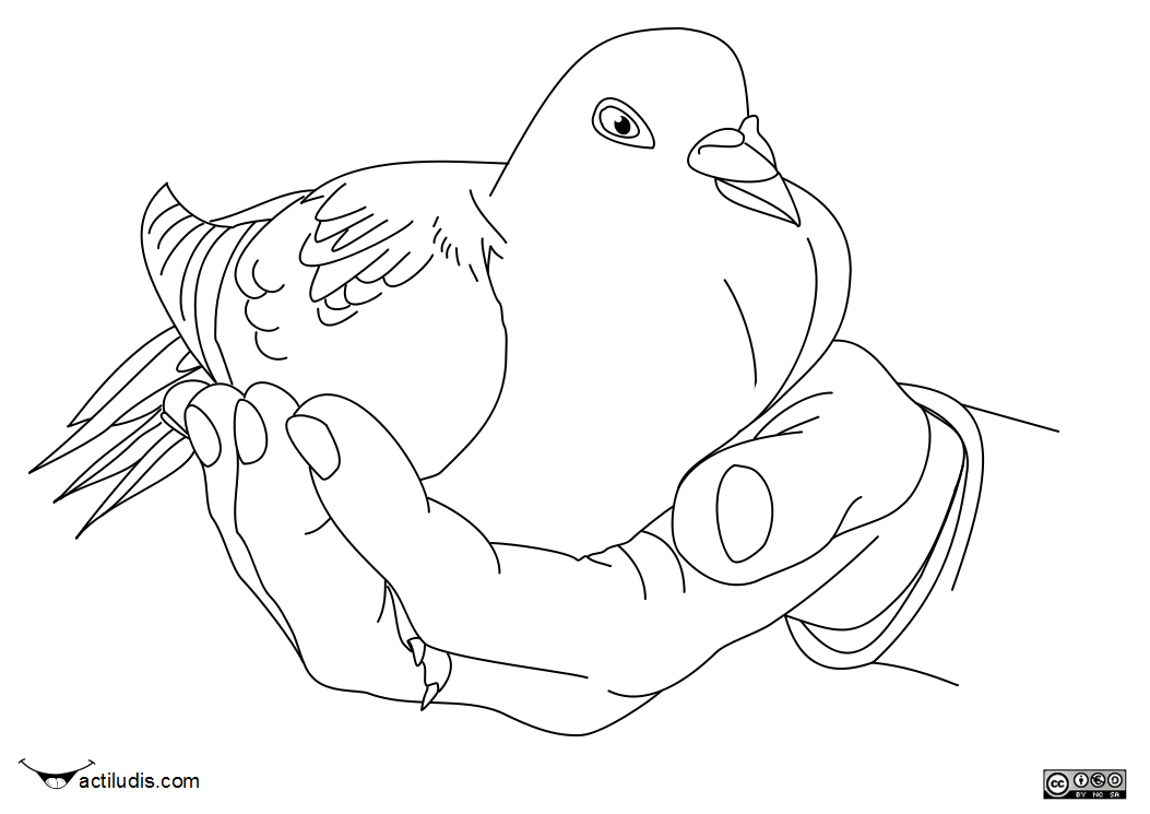 Dibujos Para Colorear De La Paz Dibujos Para Colorear De La Paz