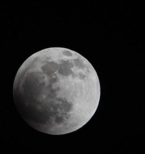 What Do I Know?: Lunar Eclipse Part 1