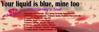 Mr.Harvey Tour