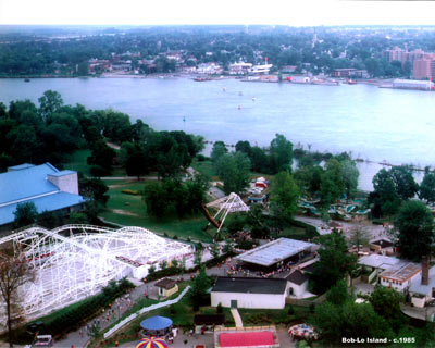 Whiskers In The Window Metro Monday And Kitten Questions
