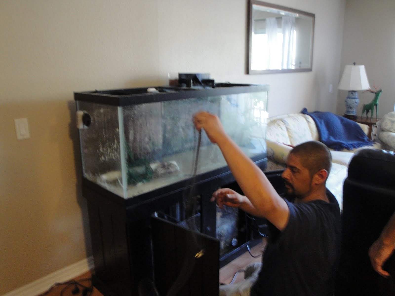 setting up a marine aquarium