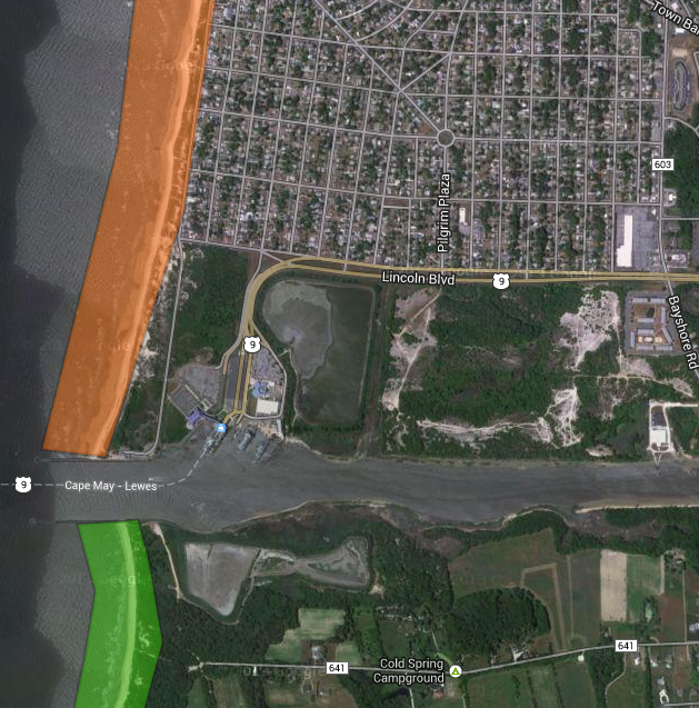 Adventures of a GSP Hunting Dog Cape May, NJ with Dogs Travel Edition