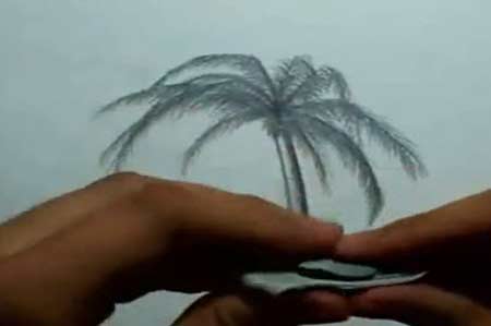 Beach Landscape - How To Draw A Palm Tree