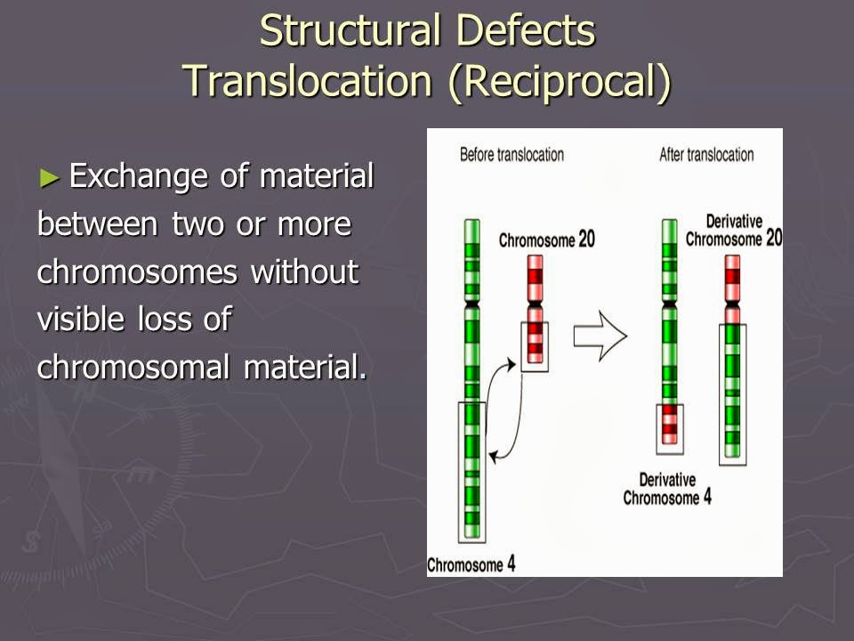Slide 36