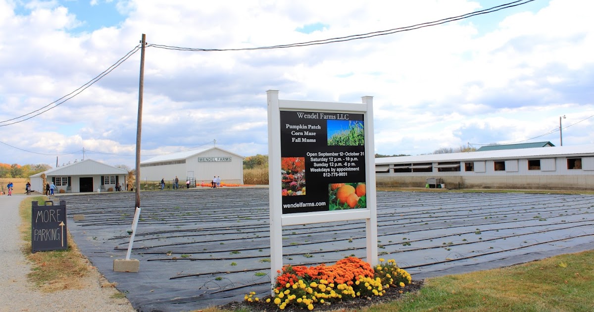 Seeing Through a New Lens Wendel Farms