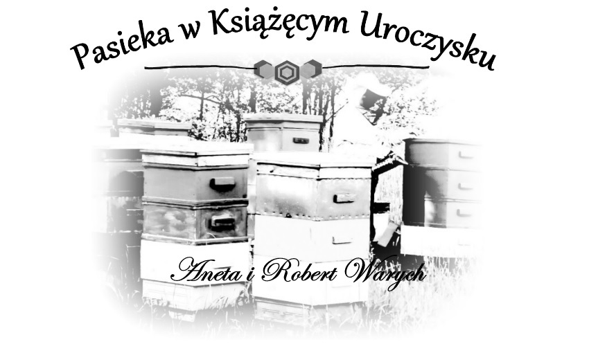 Pasieka w Książęcym Uroczysku