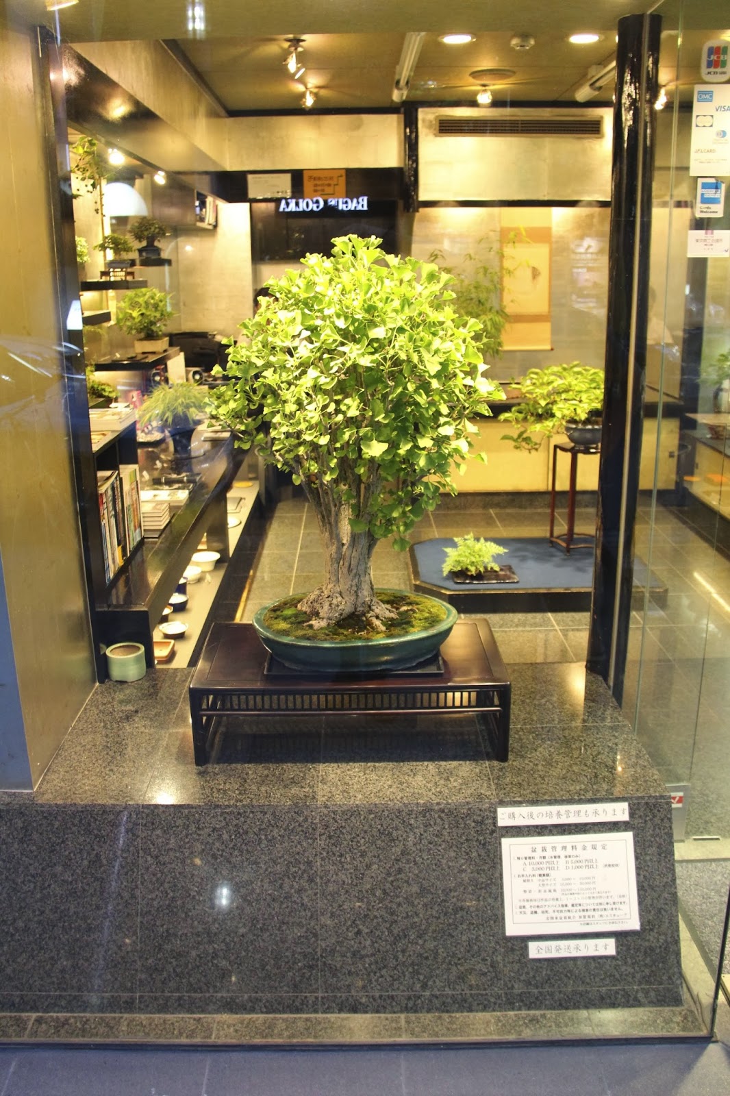 NORDIC NEBARI by Olsen GINZA BONSAI STORE TOKYO