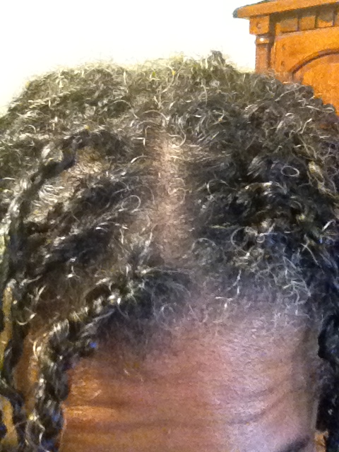 My Natural Hairstyles Micro Twists Six Week Update 45 Days