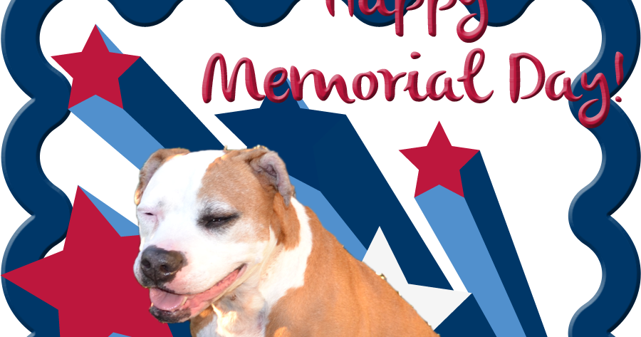 Happy Memorial Day Pets Talking dogs at for love of a dog: baxter black