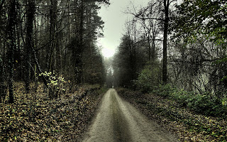 High Resolution Nature Wallpaper 