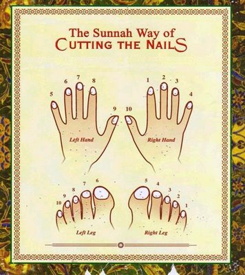 Shakir Web Blog Islamic Information