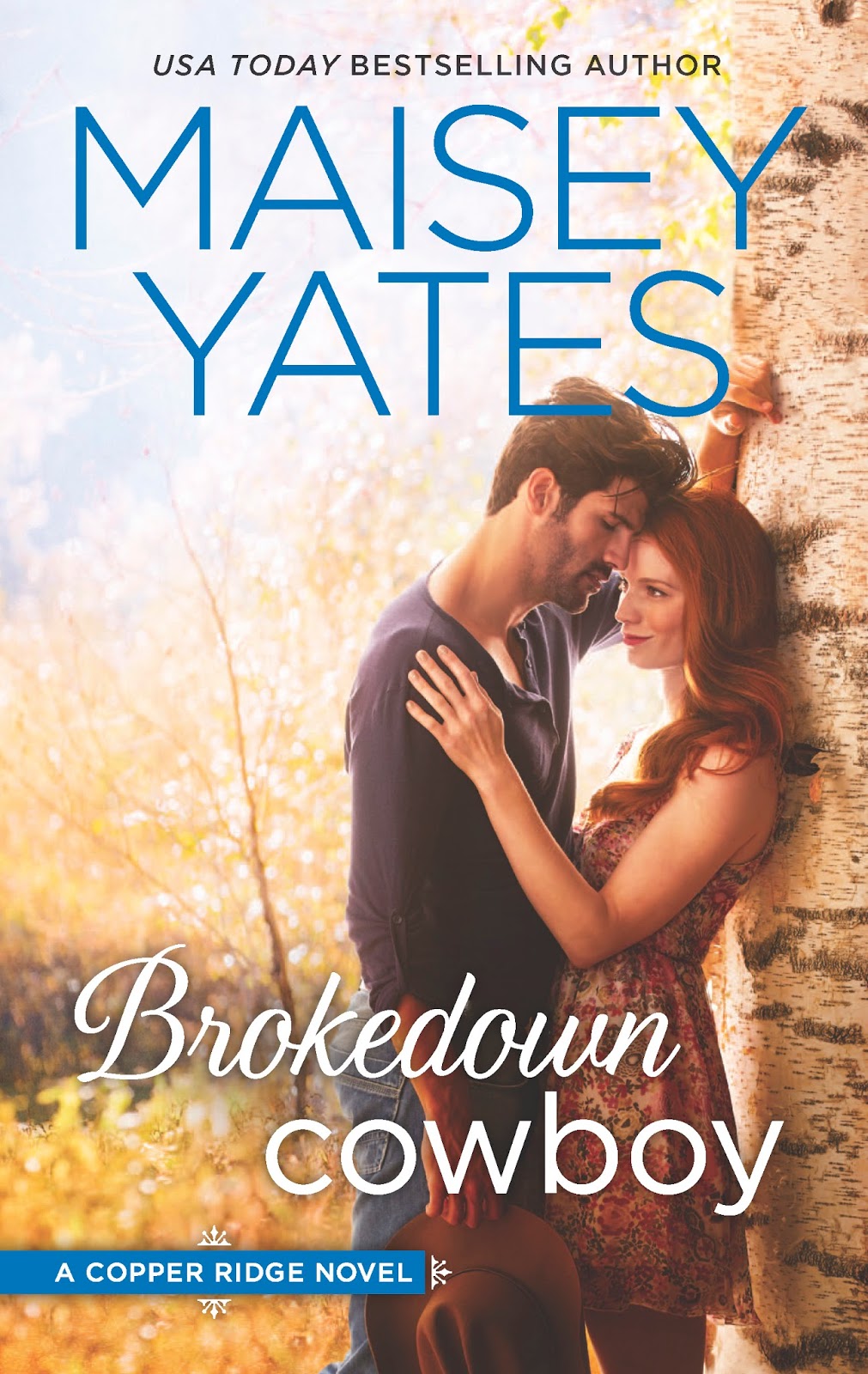 unbroken cowboy maisey yates unbroken cowboy maisey yates