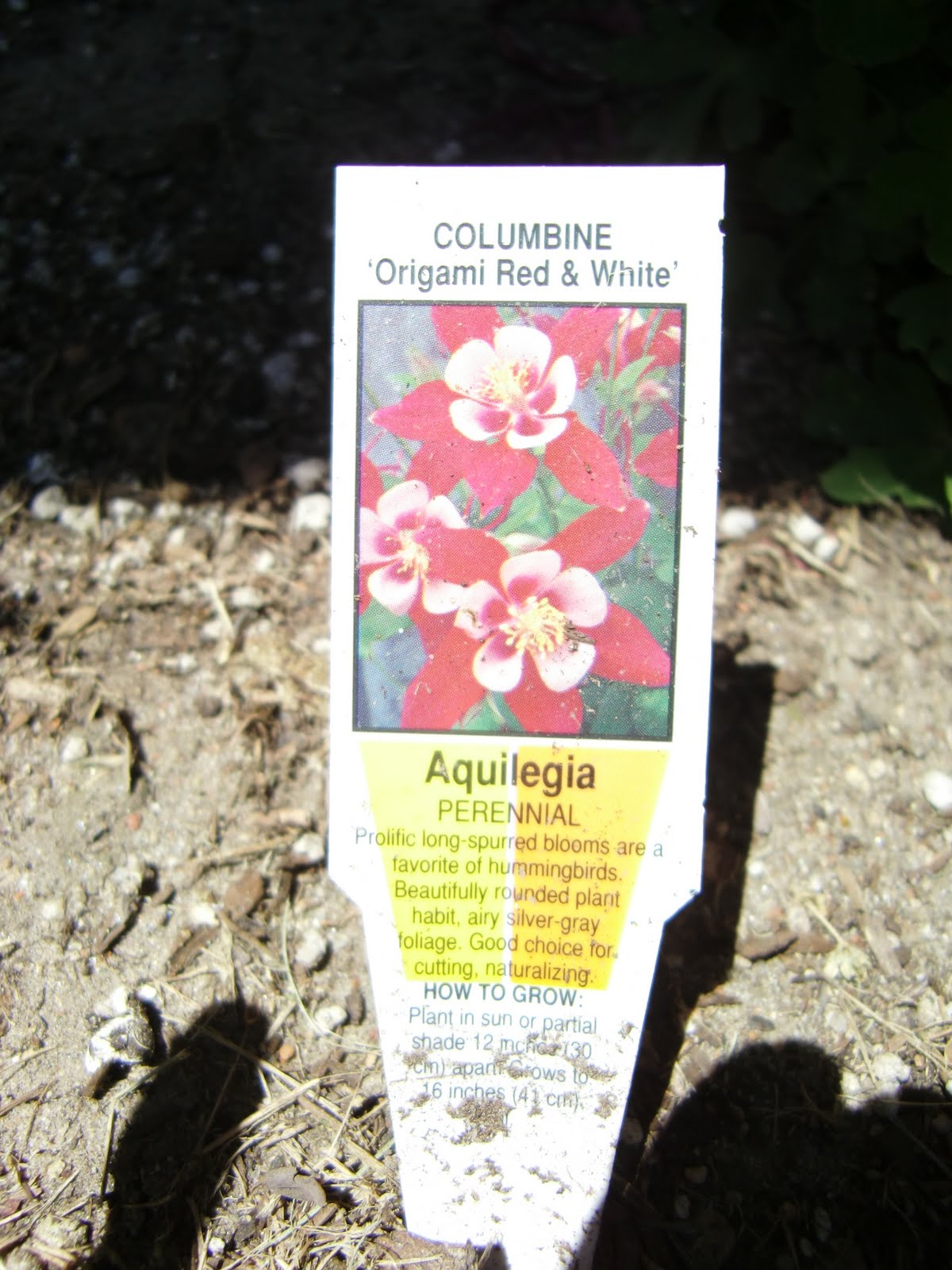 シネりん 映画から広がる世界 一輪の花で知識が広がる