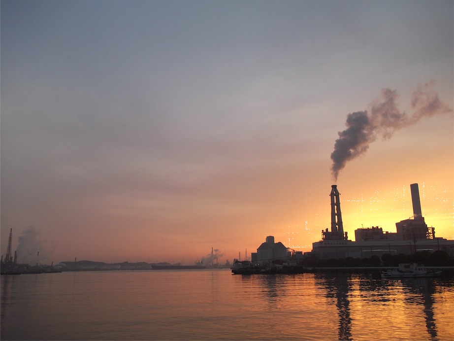 まこぶさ食堂 横浜港 釣りぷらぷら