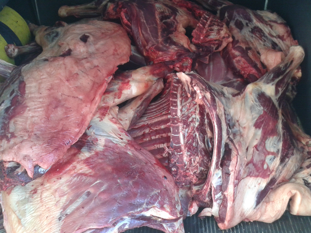 carne de jumento saloá destaca