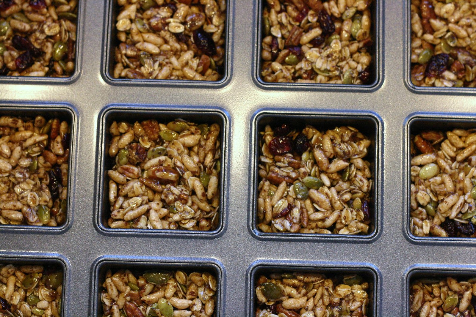 Laine's Recipe Box CranberryPumpkin Seed Energy Bars