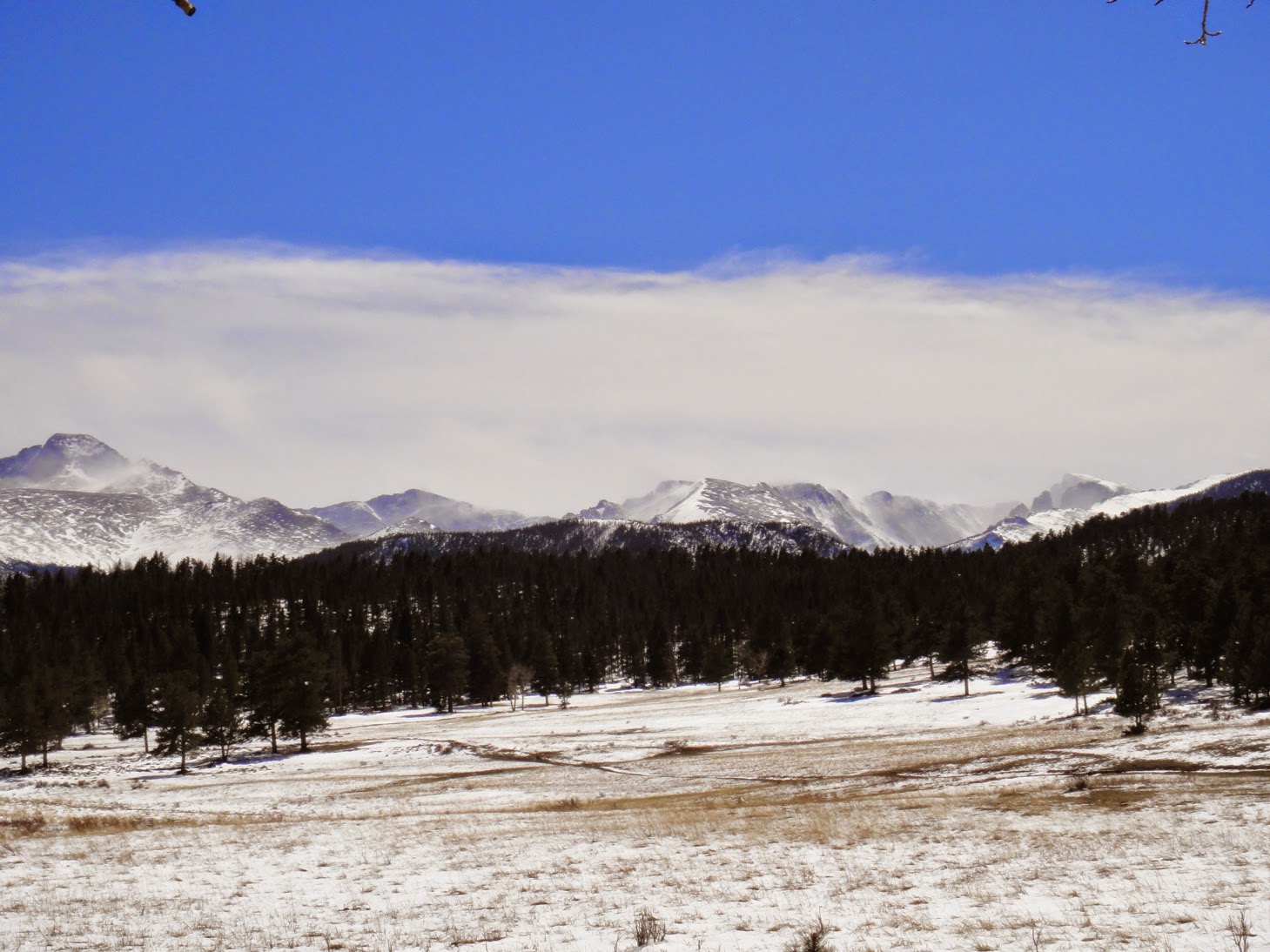 Hiking Rocky Mountain National Park Beaver Mountain via Beaver Meadows TH.