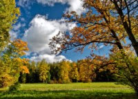 Инвестиции в ПАММ-счета. Итоги 126-й недели инвестирования