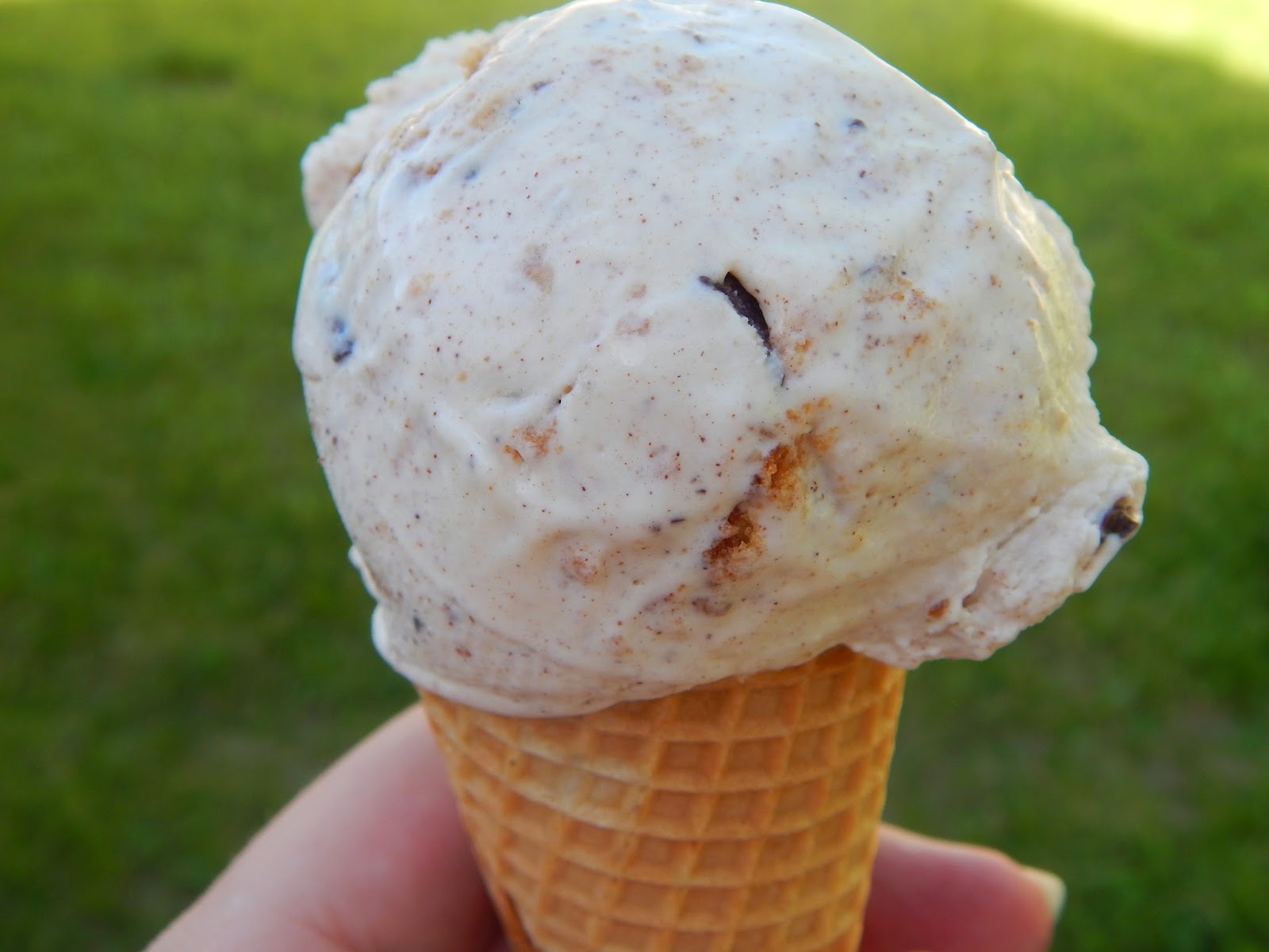 MorningNooNight Oatmeal Cookie Chunk Ice Cream