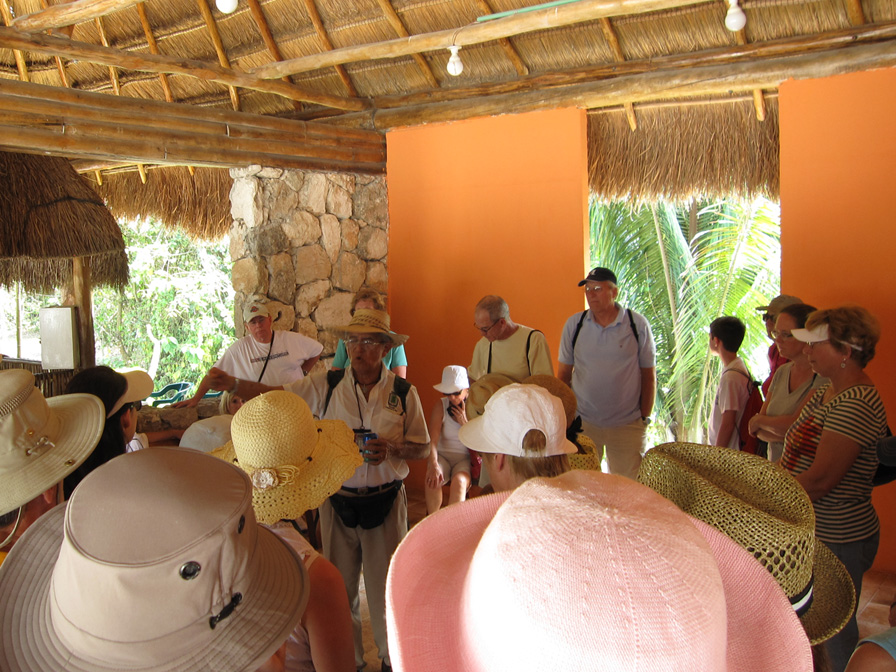 Pam Onverhard Pad Tussen Knotwilgen Rhoonse Grienden Zuid