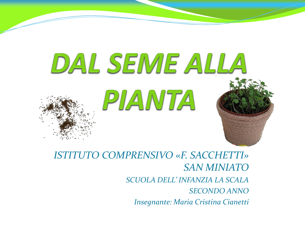 Didattica Digitale: LSS WEB