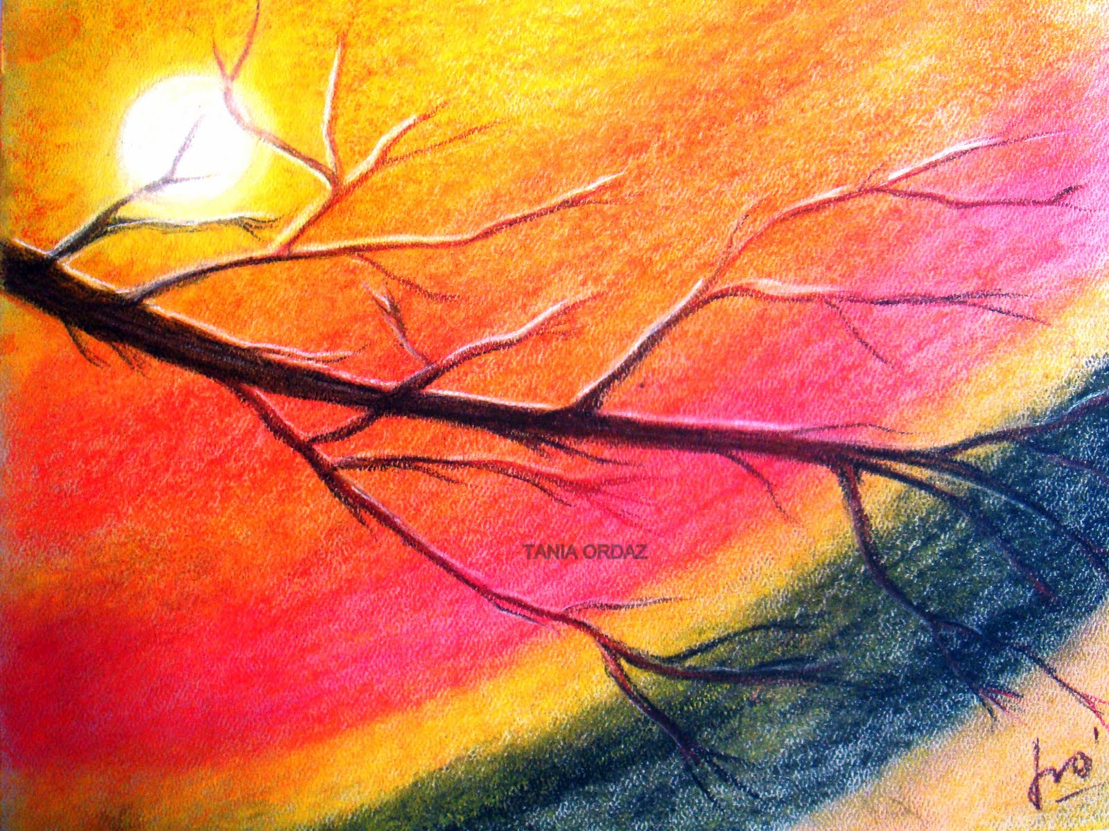 Tecnicas de pastel Imagui