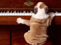 Dog+Plays+Piano.jpg