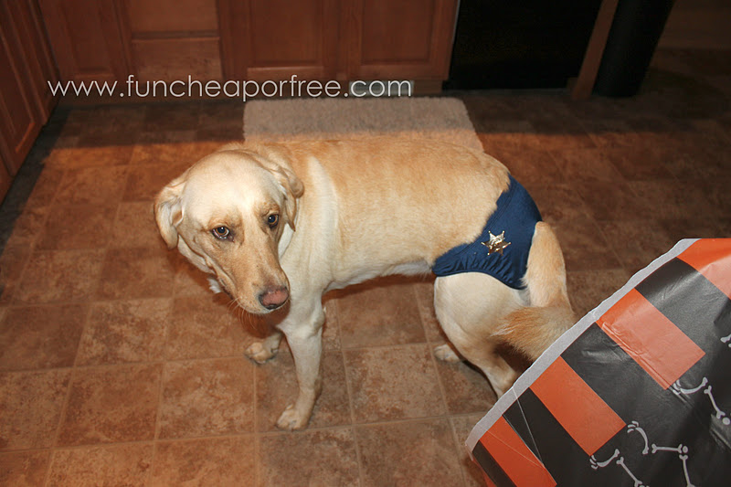 tons of homemade halloween costume ideas plus how to save tons of even our dog go involved meet sheriff ollie