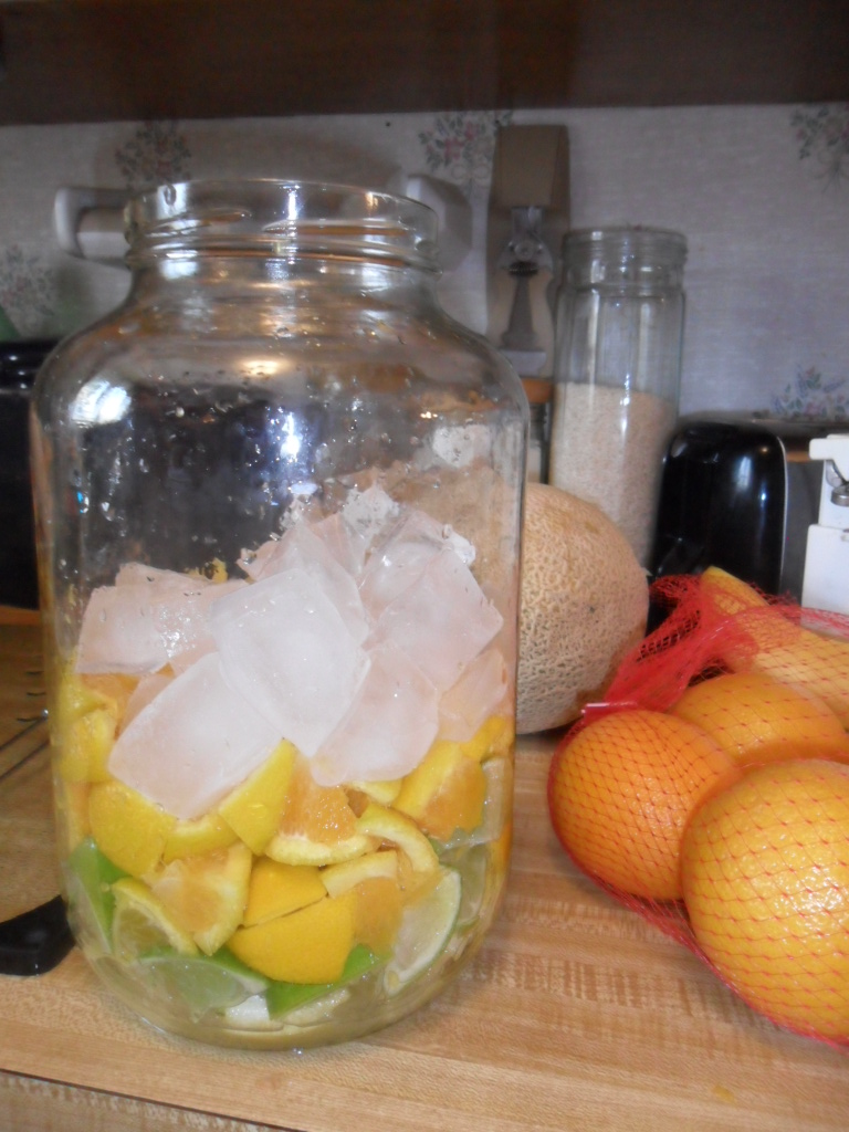 Domestic Randomness DIY Flavored Water (Strawberry Watermelon and