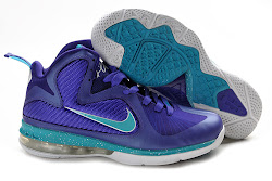 Nike LeBron James IX 9 ナイキ レブロン ジェームス IX 9 青紫