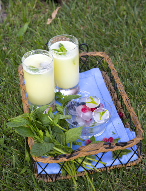 Limonada Con Cubitos De Hielo Chic 
