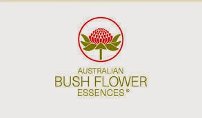 http://www.bushflower.it/