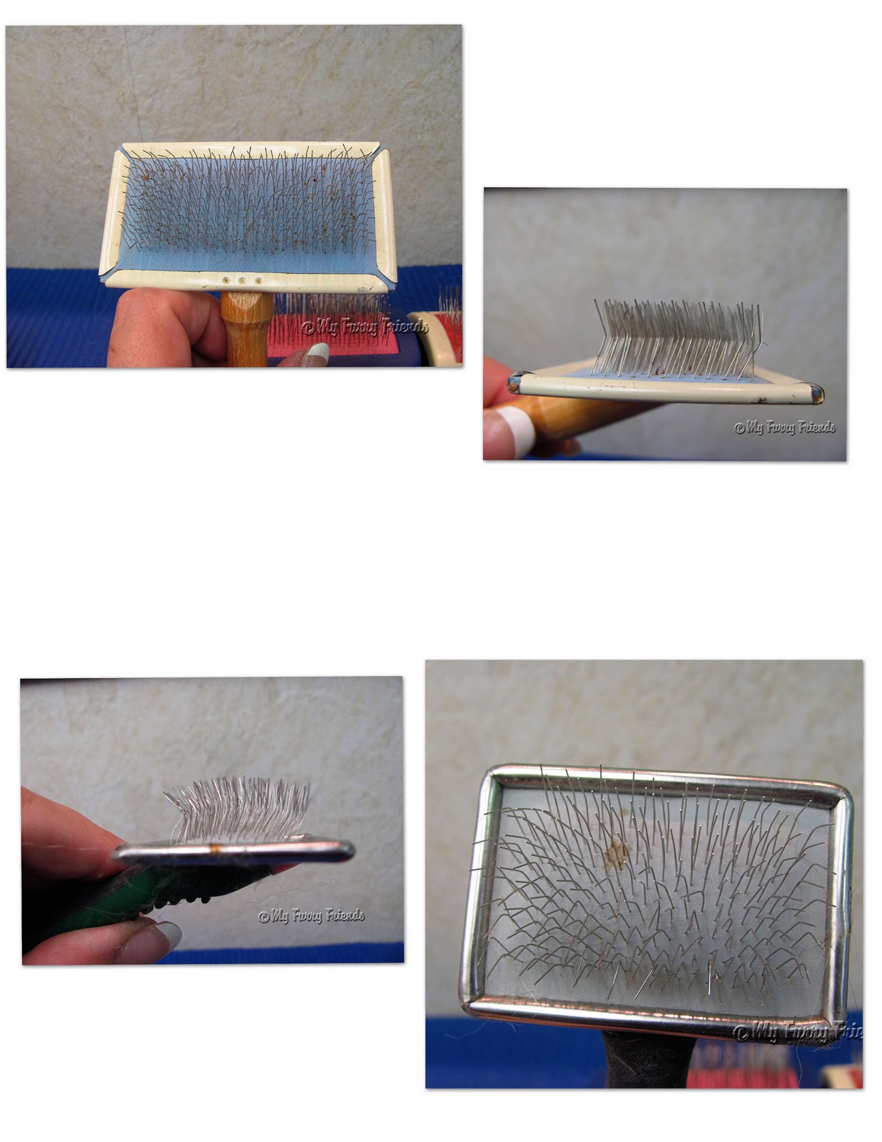 Pet Grooming The Good The Bad The Furry Tuesday S Tip 32