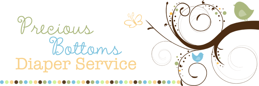 Precious Bottoms Diapers Service