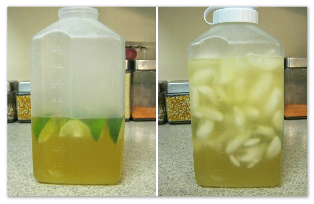 Something And Other Lime Green Tea Detox Drink