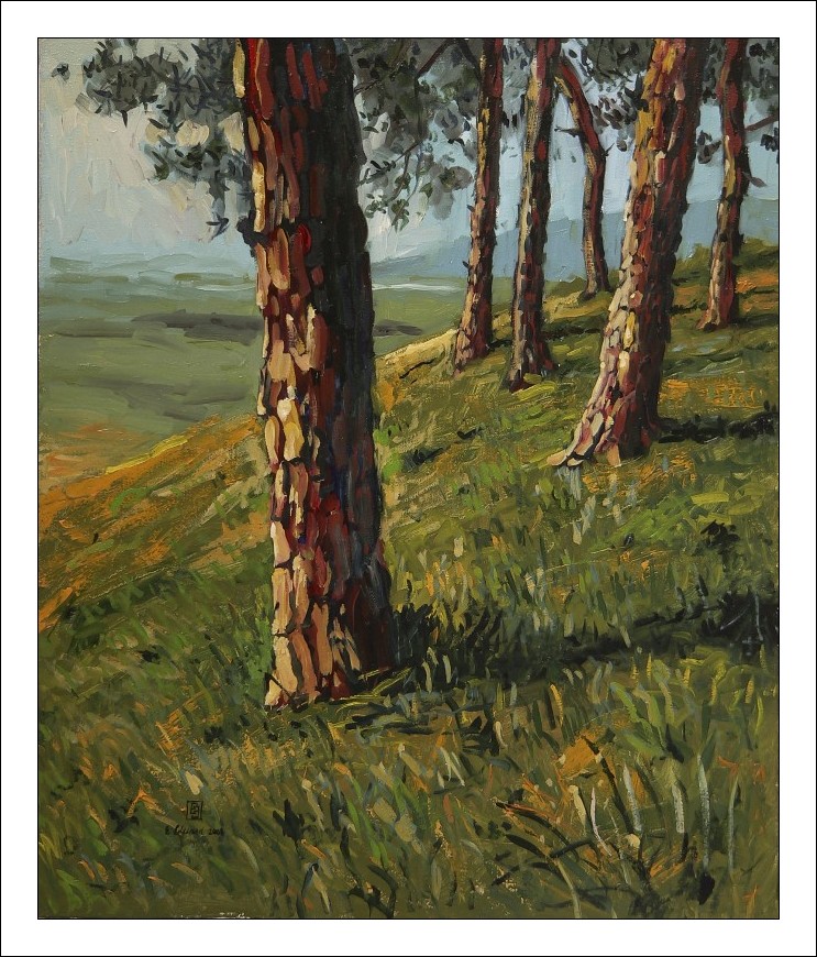 Drawings Paintings Pine Tree Paintings