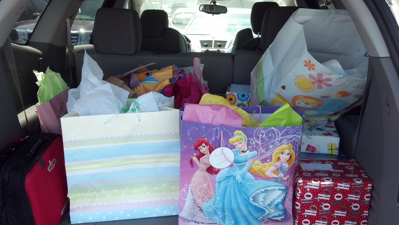 Isabella Lee Shears 3rd Birthday Party at Turtle Back Zoo