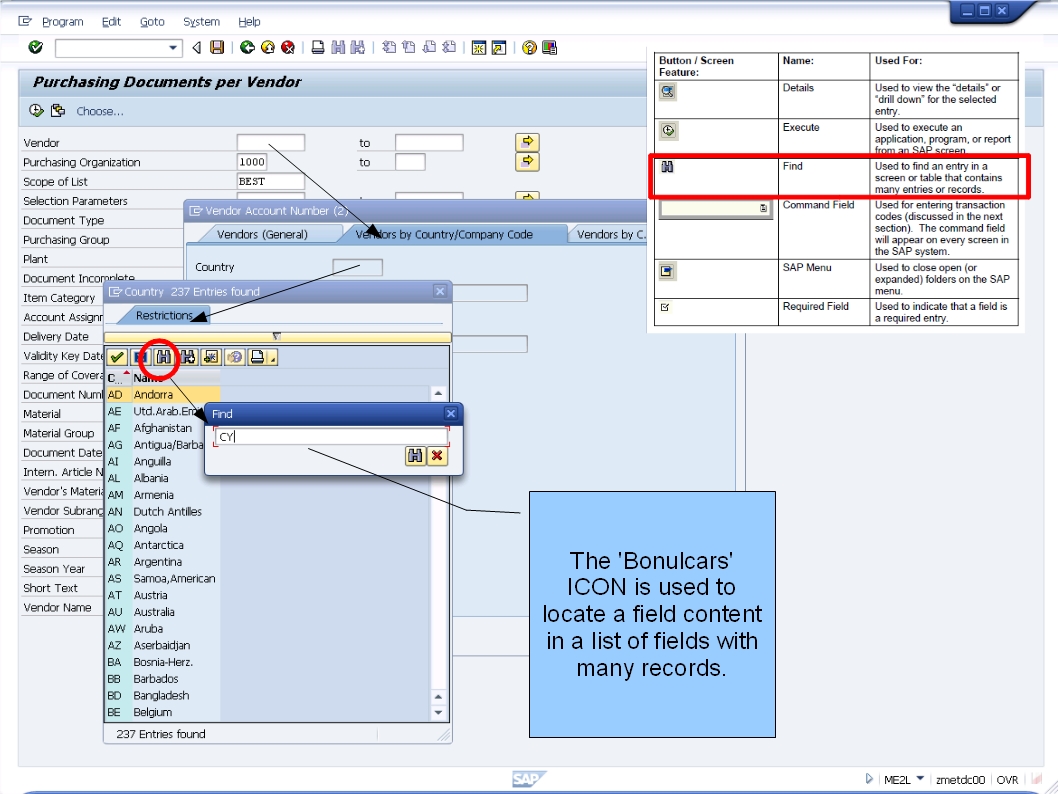 青蛙SAP分享 Froggy's SAP insights: N13 SAP Buttons/ICONS Explained