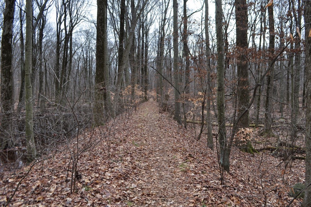 Harriman Hiker Harriman State Park and Beyond Tallman Mountain State Park