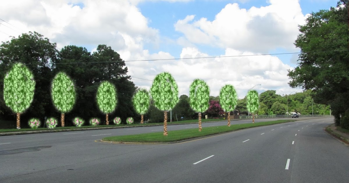 Friends of Indian River Tree Proposal Along Indian River Road