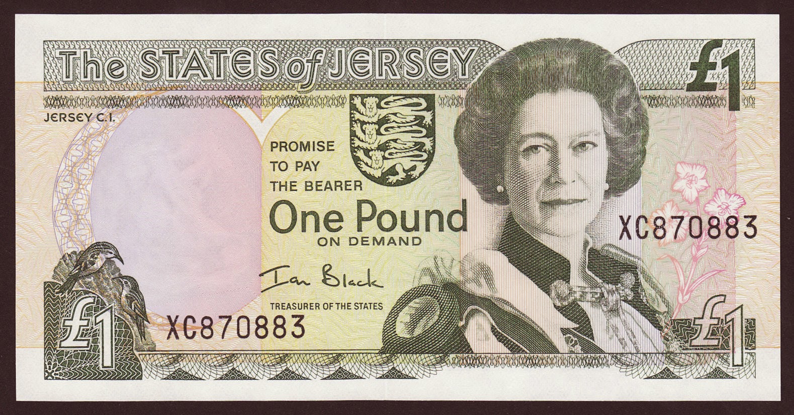 Jersey 1 Pound banknote 2000 Queen Elizabeth IIWorld Banknotes & Coins